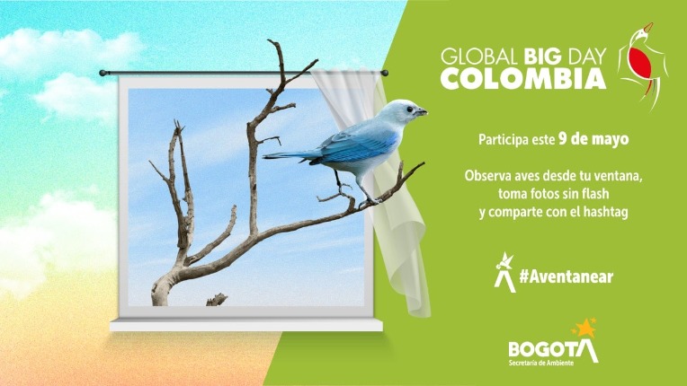Bogotá celebra el Día Mundial de las Aves Migratorias