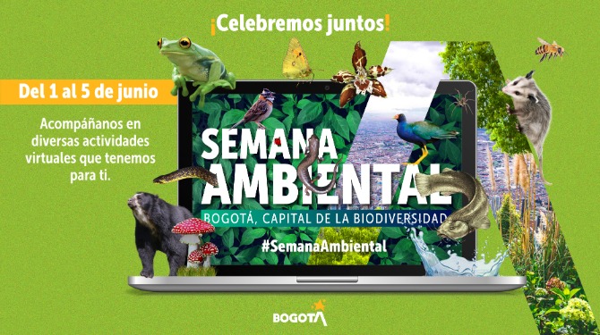 Día Mundial del Medio Ambiente, una oportunidad para que Bogotá reverdezca
