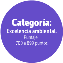 Categoría excelencia ambiental.