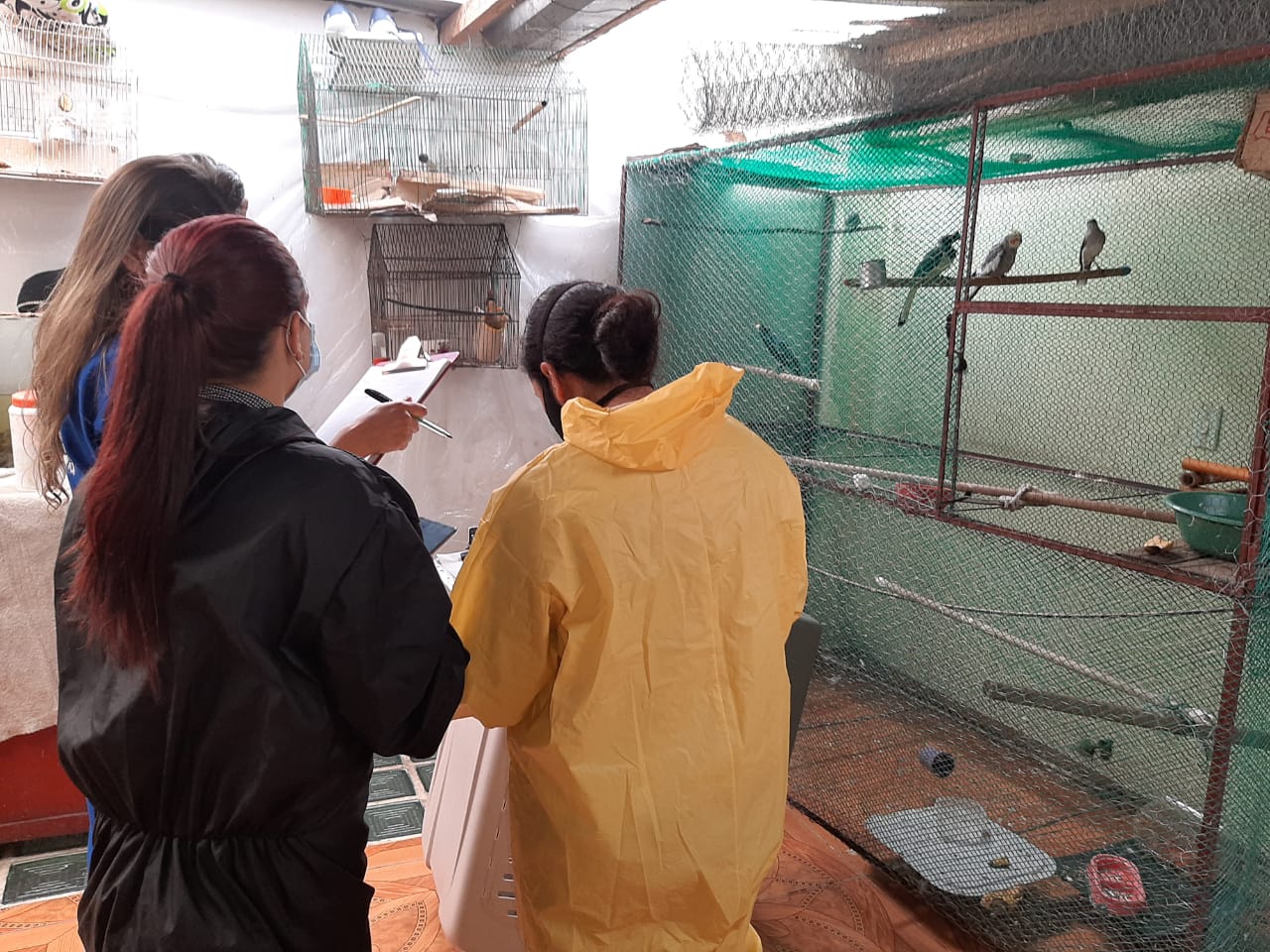 Expertos ambientales realizan informe de la valoración de las aves.