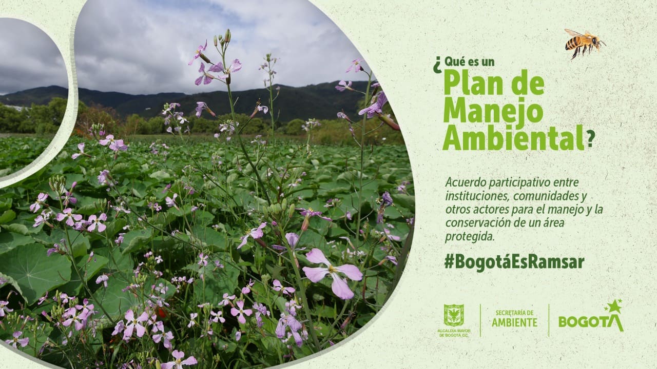 Participa en la formulación del Plan de Manejo Ambiental para los humedales Ramsar de Bogotá