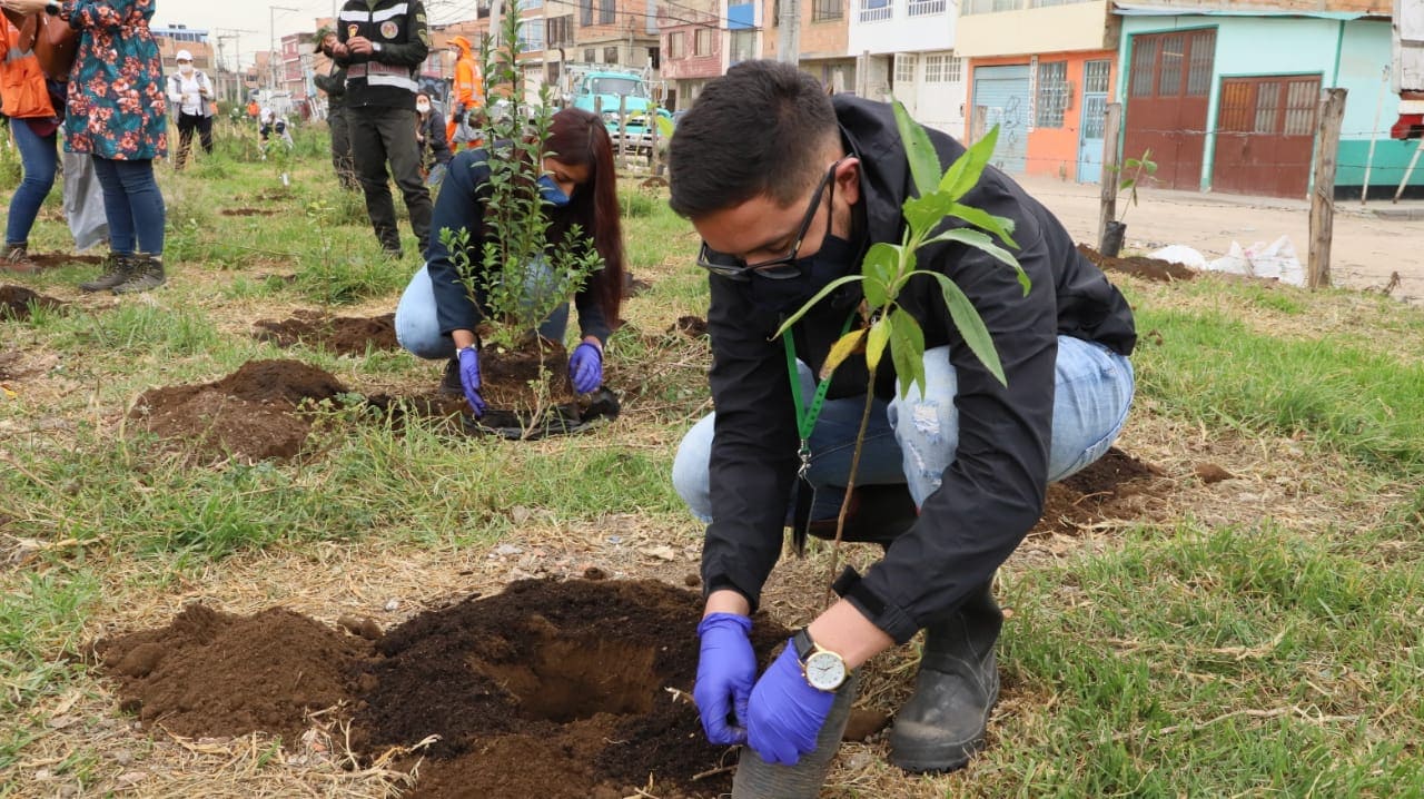 Secretaría de Ambiente, entidades, ambientalistas y comunidad plantaron 311 árboles en el humedal La Vaca, sector sur.