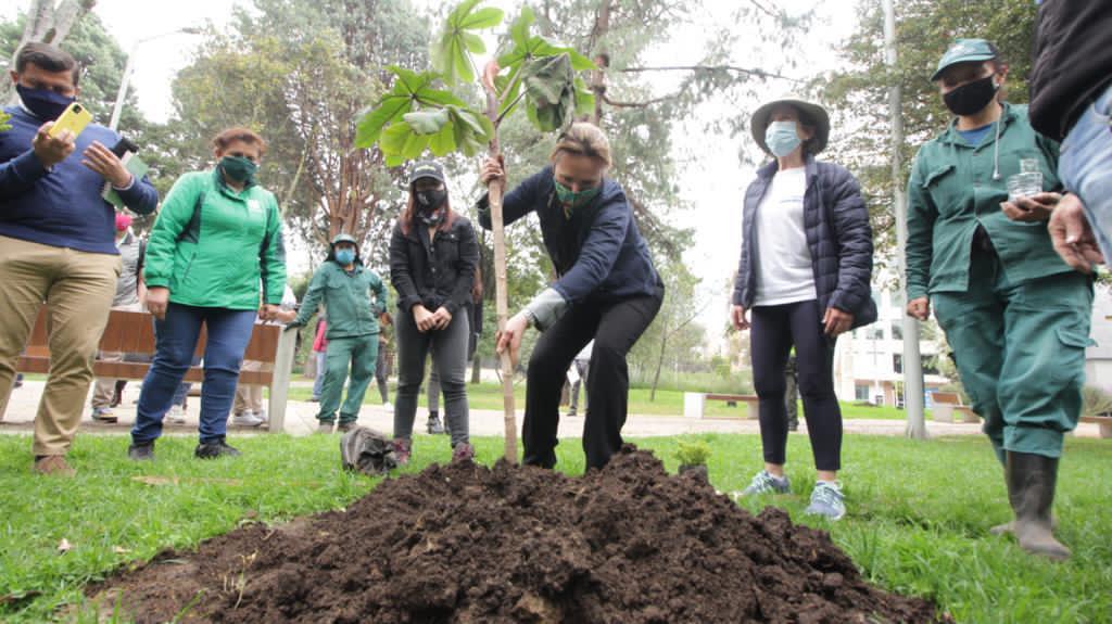 La secretaria de Ambiente, Carolina Urrutia, plantando un yarumo en el parque Japón. La Administración trabaja para que la ciudadanía siga teniendo real incidencia en la toma de decisiones en torno al arbolado de Bogotá.