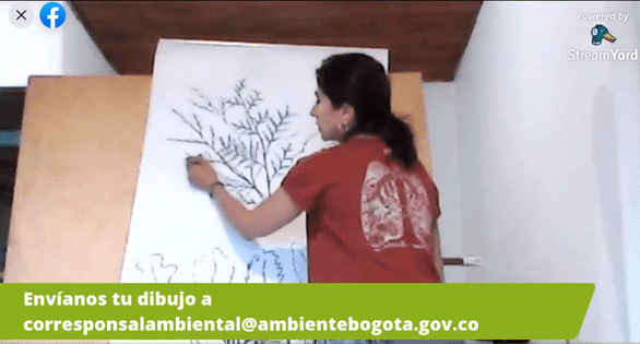 Luisa Urrego, ingeniera forestal, explicó los lineamientos para la realización de los dibujos de las especies de árboles de Bogotá.