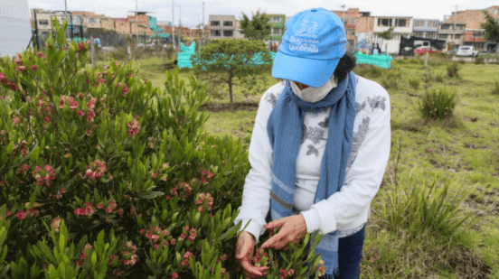 Mujeres cuidadoras de los humedales fortalecieron sus conocimientos y construyeron redes para proteger los territorios ambientales