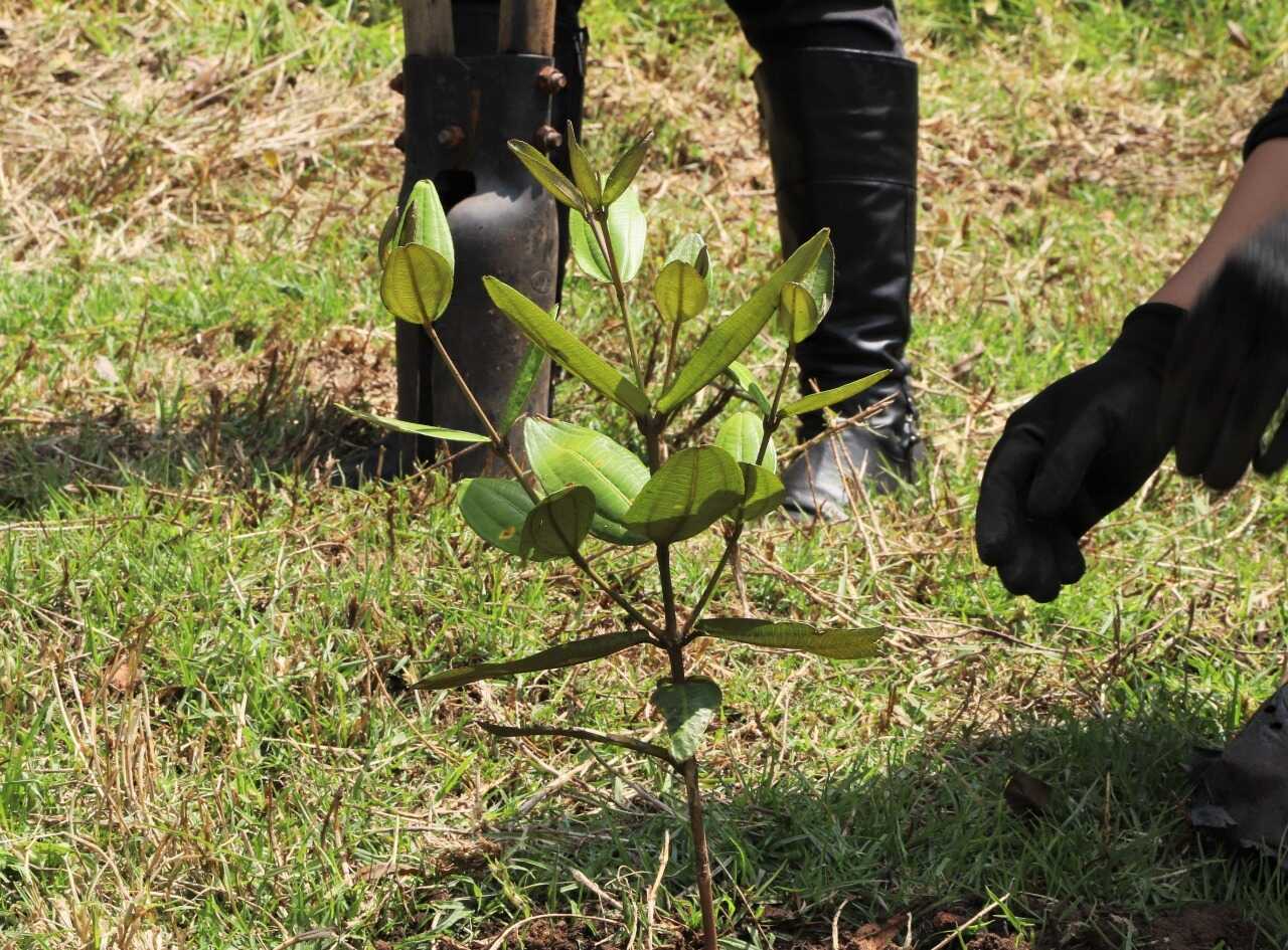 Plantamos 163 árboles en el Parque Entrenubes.