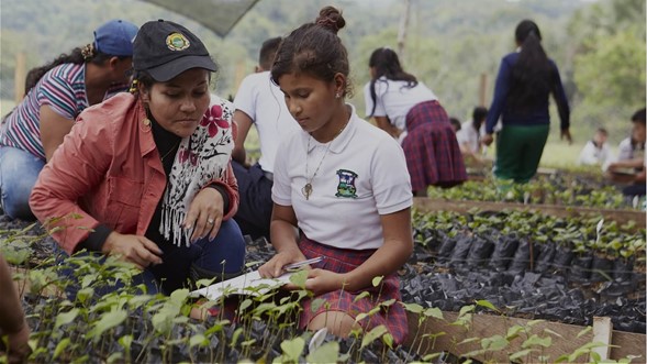 Promesa Climática anuncia preseleccionados de soluciones a retos climáticos de Colombia