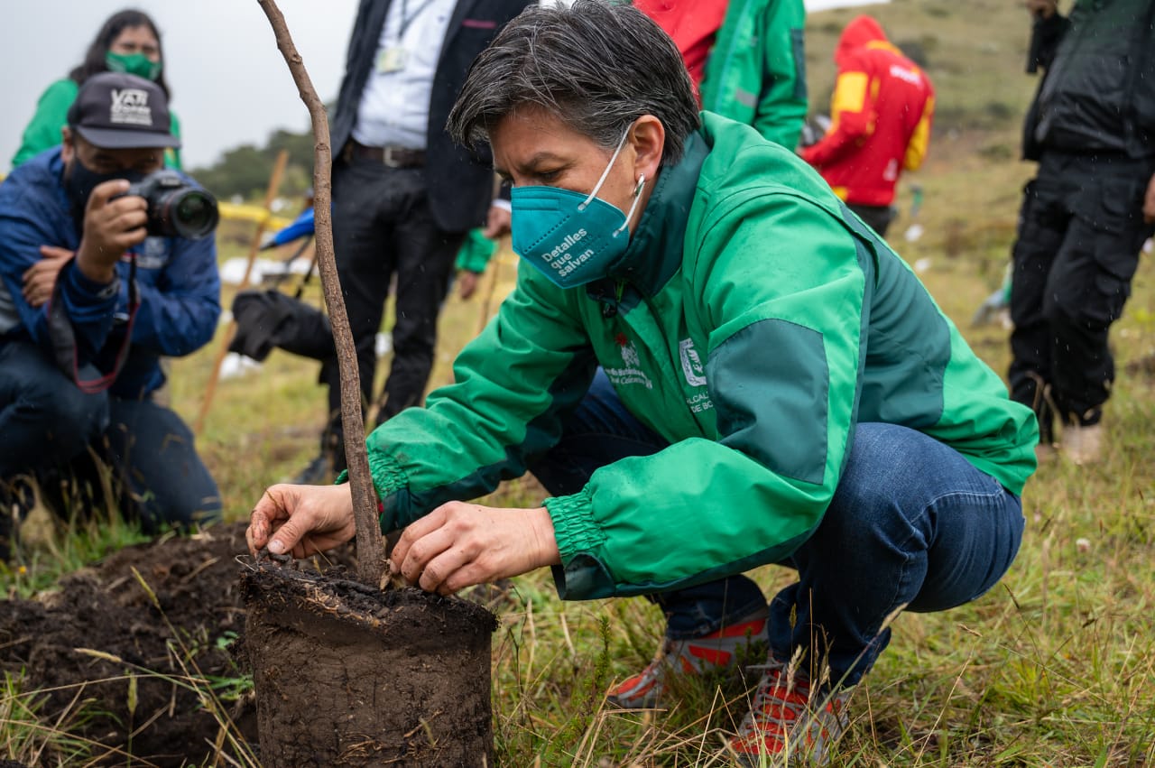 Alcaldesa de Bogotá, Claudia López plantando árbol