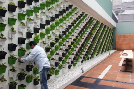 Secretaría de Ambiente premia edificaciones ecoeficientes en Bogotá
