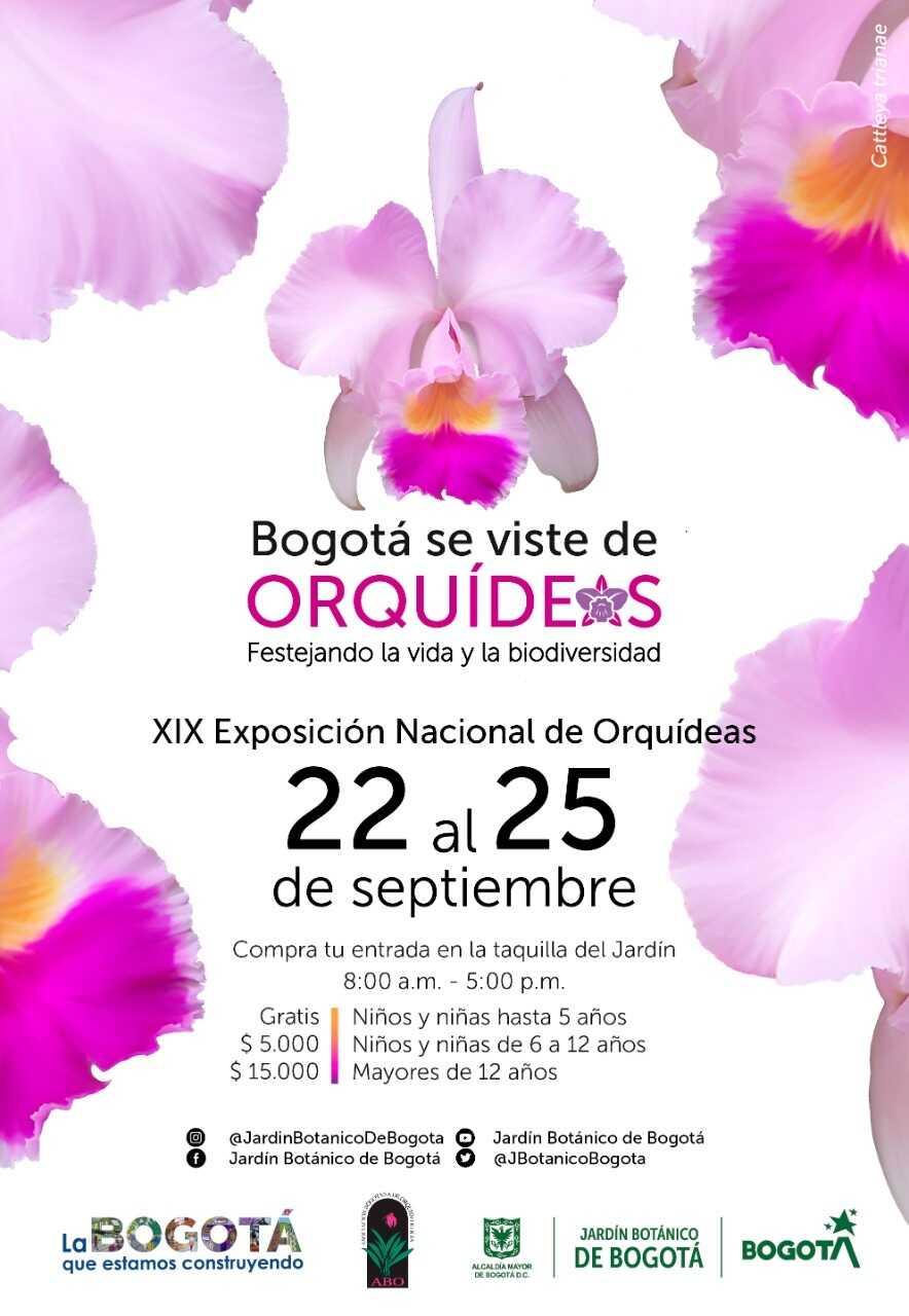 Bogotá se viste de Orquideas 2