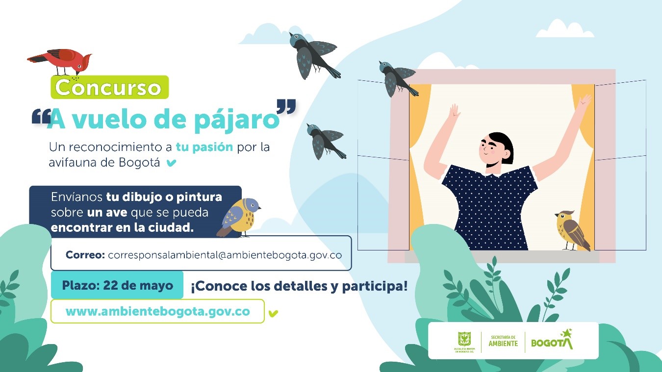 Niños, niñas y jóvenes podrán participar con dibujos y pinturas en el concurso 'A vuelo de pájaro'