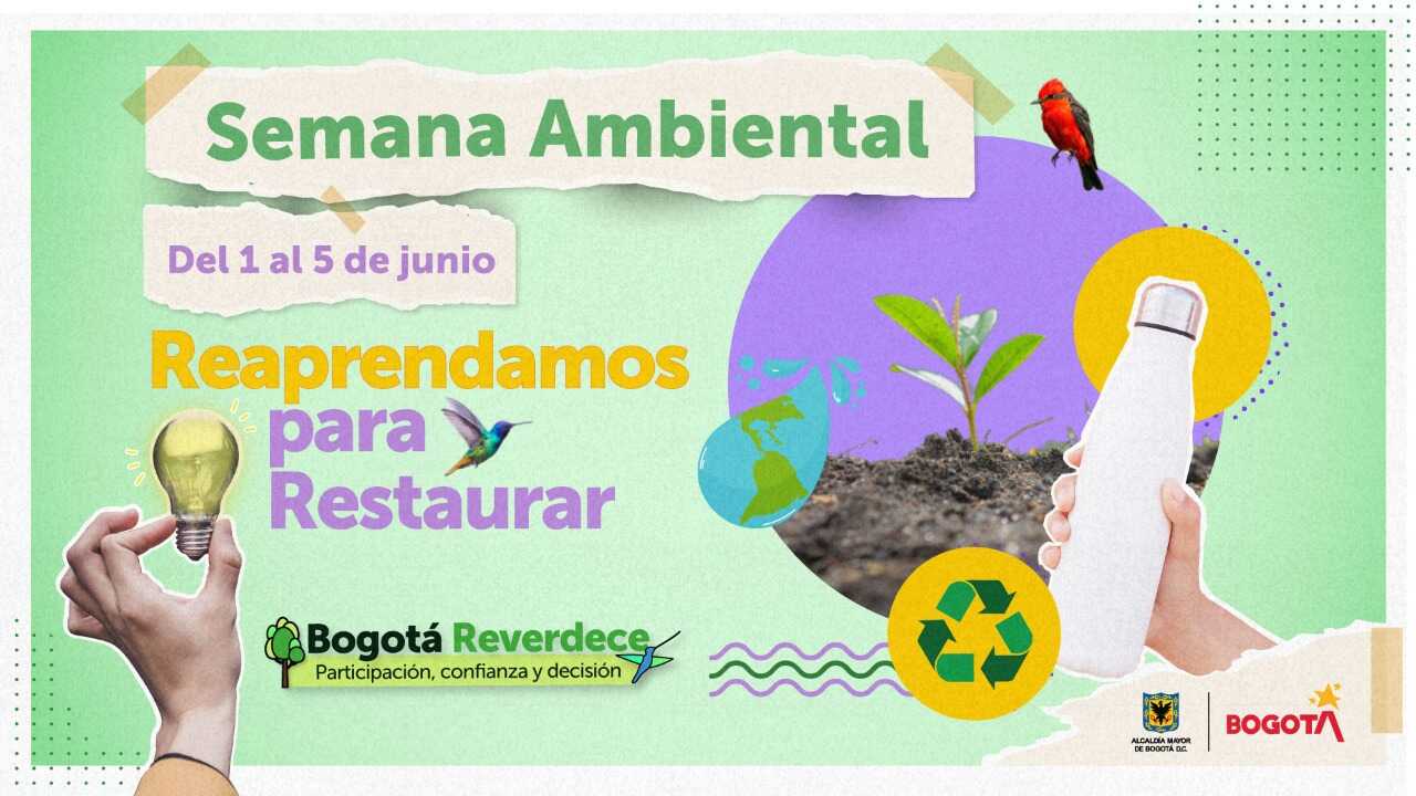 Pieza gráfica: Celebración de la semana ambiental del 1 al 5 junio.