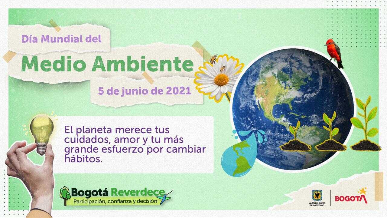 Celebración del Día Mundial del Medio Ambiente comenzó desde uno de los pulmones de Bogotá