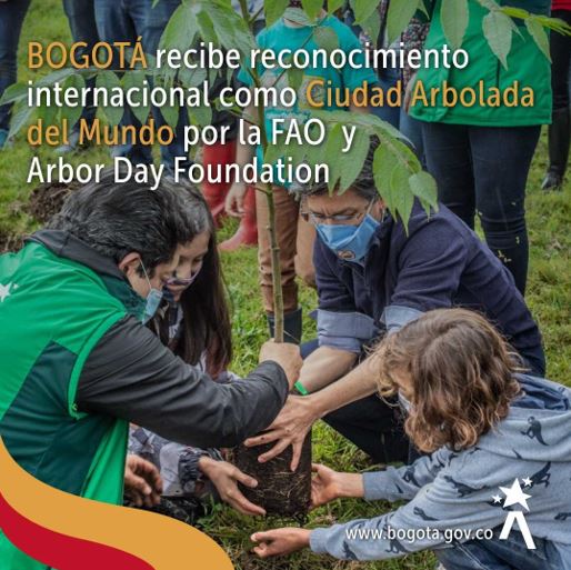 Bogotá entra a formar parte del grupo de "Ciudades Árbol del Mundo" de la FAO