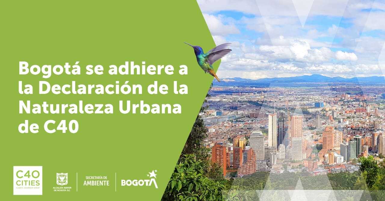 Declaración de la Naturaleza: Bogotá entra al grupo de más de 30 ciudades que trabajan por tener territorios más verdes