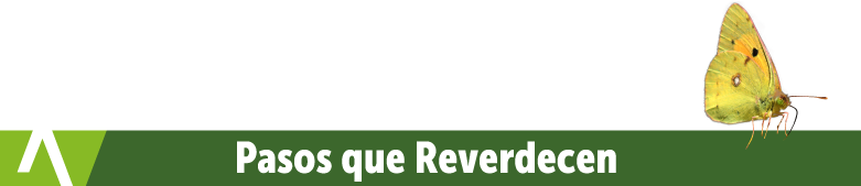 Botón: Título Pasos que reverdecen