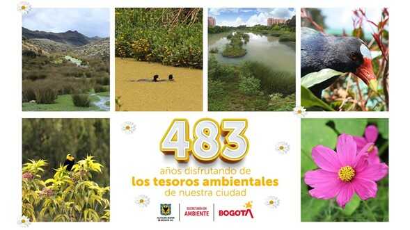 Pieza informativa tesoros ambientales Bogotá