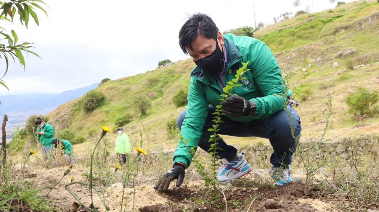 Bogotá reverdece en sus 483 años con 150 nuevos árboles en Ciudad Bolívar