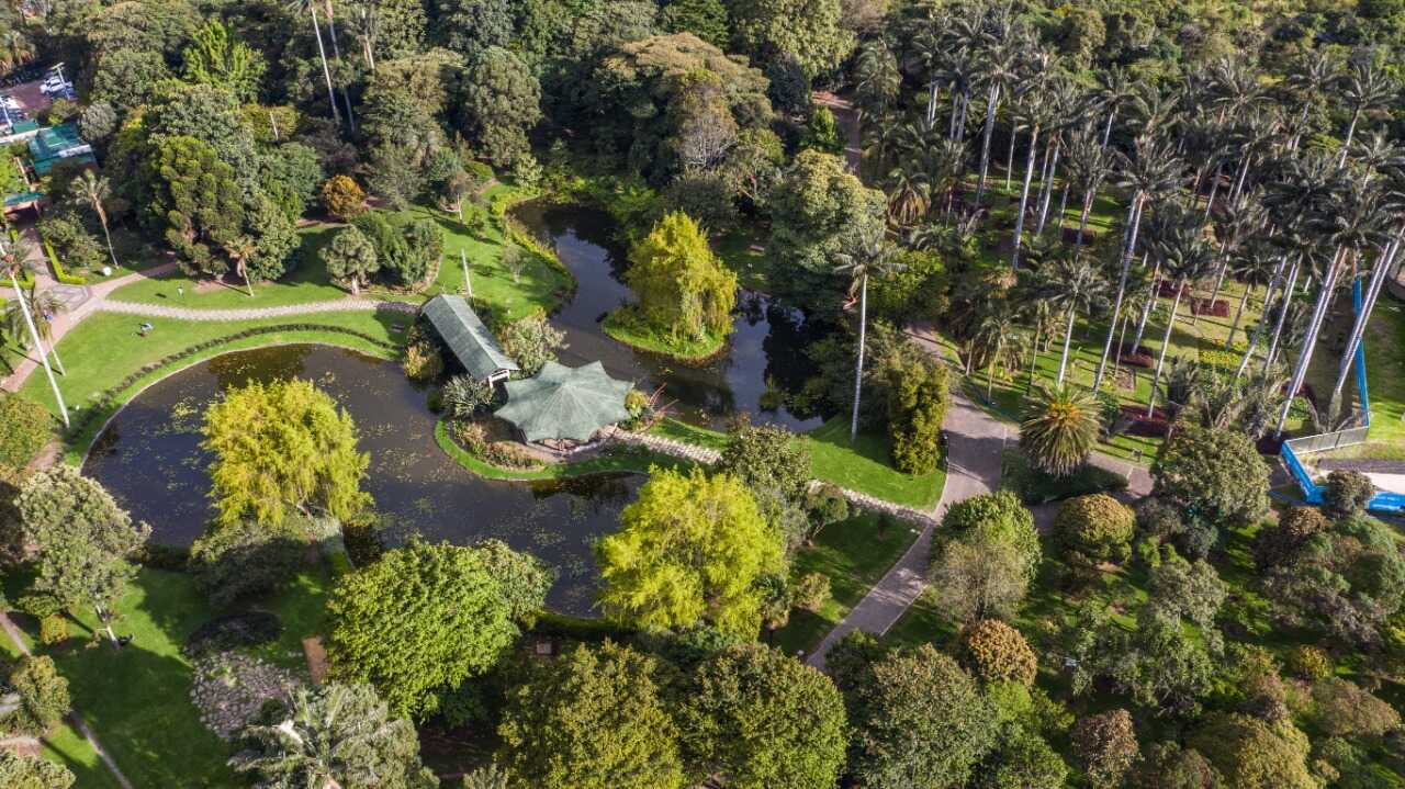 Jardín Botánico celebra 66 años reverdeciendo a Bogotá