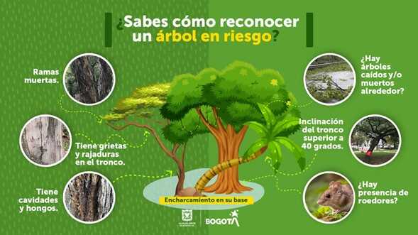 Pieza gráfica para reconocer árboles en riesgo