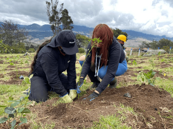 Distrito lanza 'Mujeres que Reverdecen' para ayudar a las que más lo necesitan y proteger los ecosistemas de Bogotá