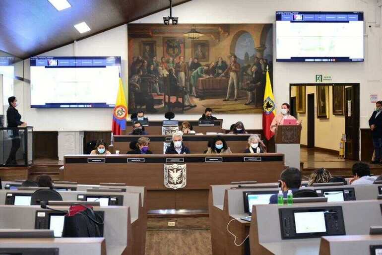 Secretaria de Ambiente, Carolina Urrutia en el Concejo