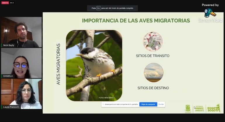 Conversatorio importancia aves migratorias