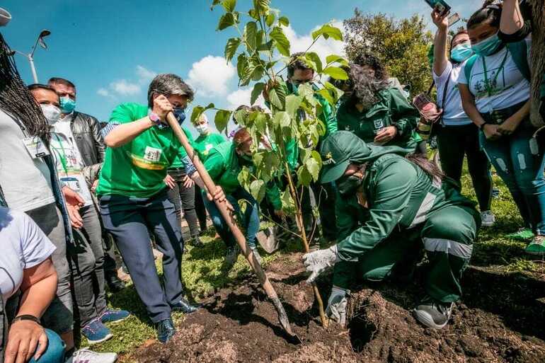 Alcaldesa de Bogotá Claudia López siembre un árbol
