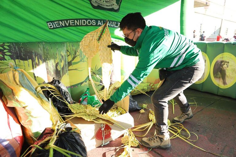 Domingo de Ramos: autoridades decomisaron más de media tonelada de ramos elaborados con palmas silvestres