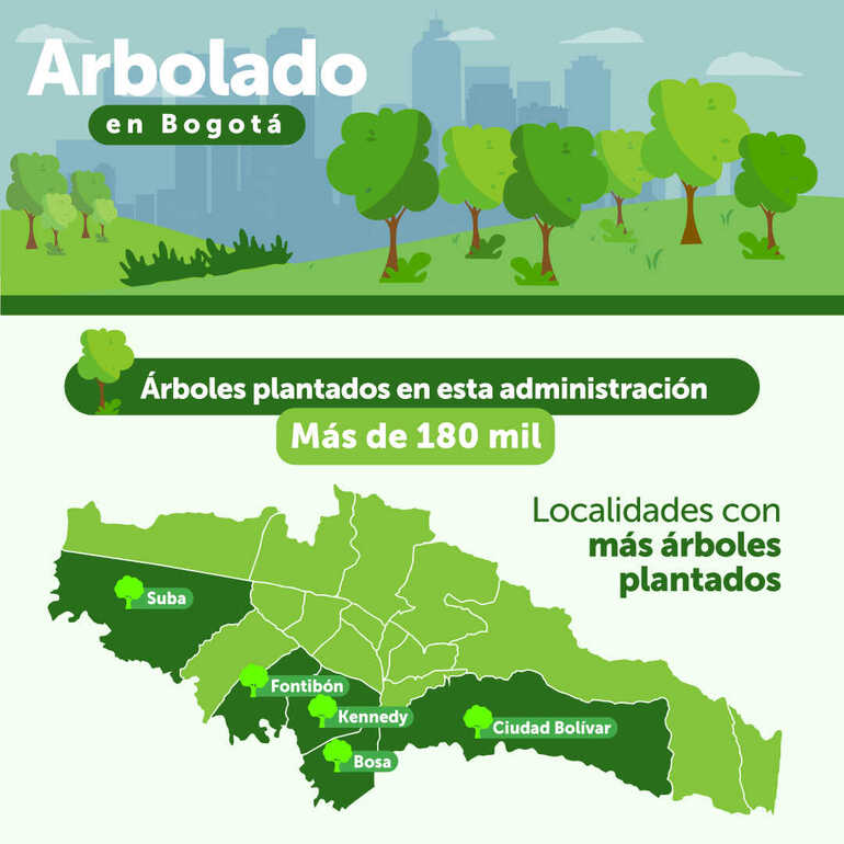 Suba, Fontibón y Ciudad Bolívar son las localidades en las que más se plantaron árboles durante 2021