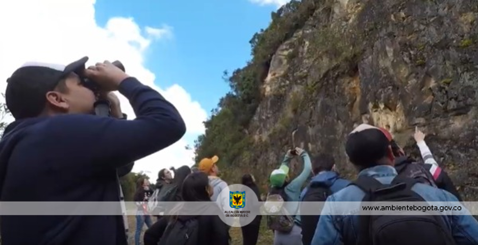 Asistentes en el recorrido ambiental en el cerro El Zuque
