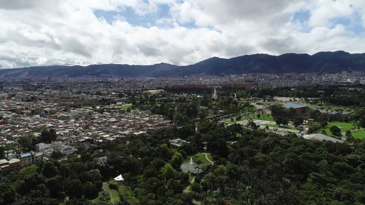 árboles de Bogotá