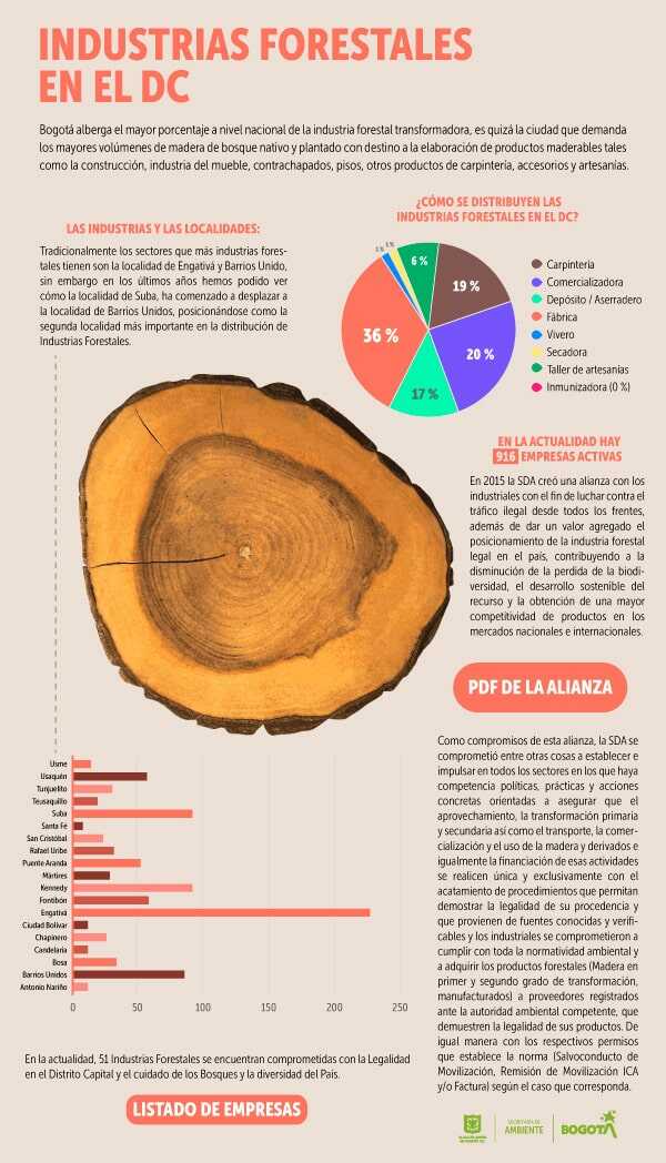 Infografía de la industrias forestales