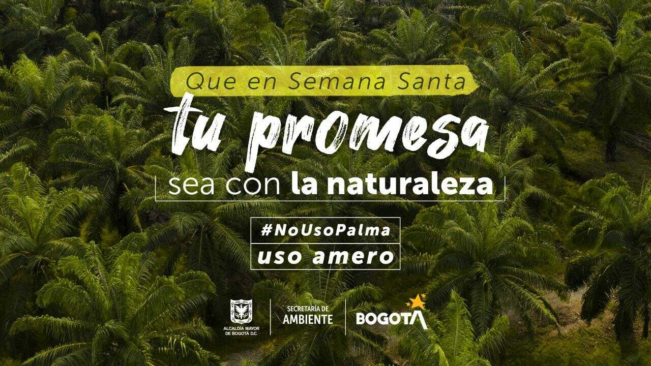 #NoUsoPalma