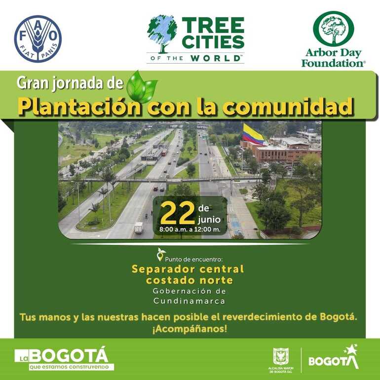 Reverdecer Bogotá: plantación JBB corredor Calle 26