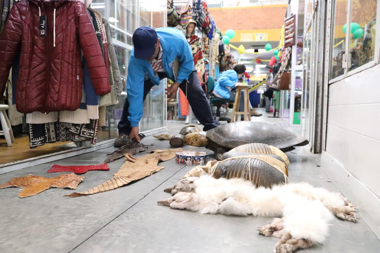 Nuevo golpe a traficantes de fauna en Bogotá