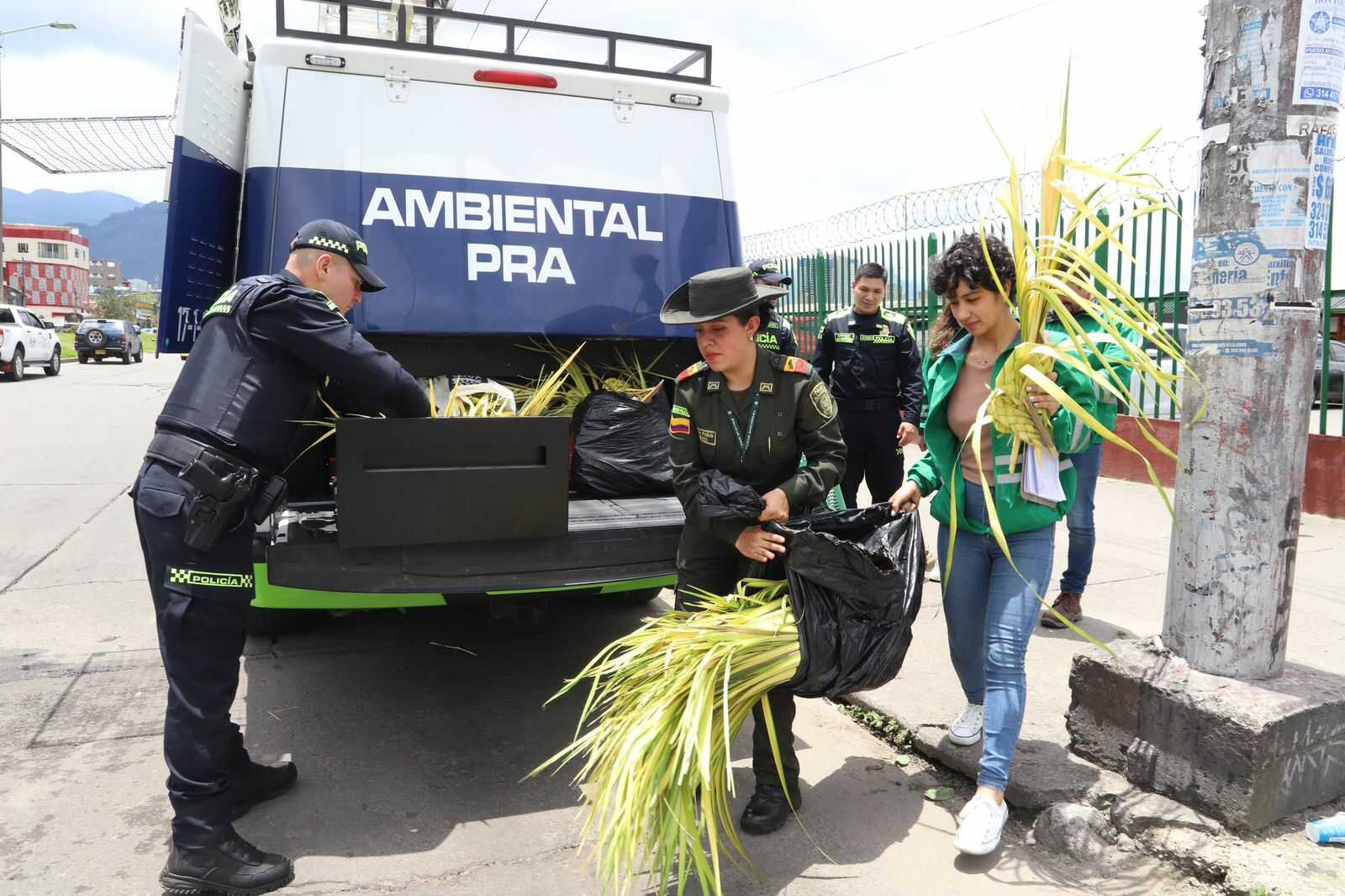 Secretaría de Ambiente ha incautado estos días más de 55 kilos de palma silvestre y refuerza controles, previo a Domingo de Ramos