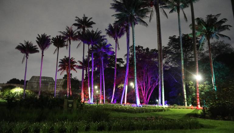 Jornada cultural nocturna en el Jardín Botánico de Bogotá