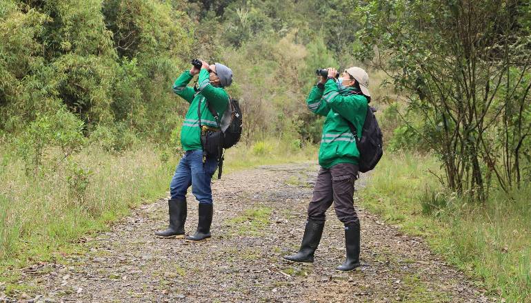Cumpleaños 485 de Bogotá: inscríbete a las jornadas de monitoreo a la biodiversidad