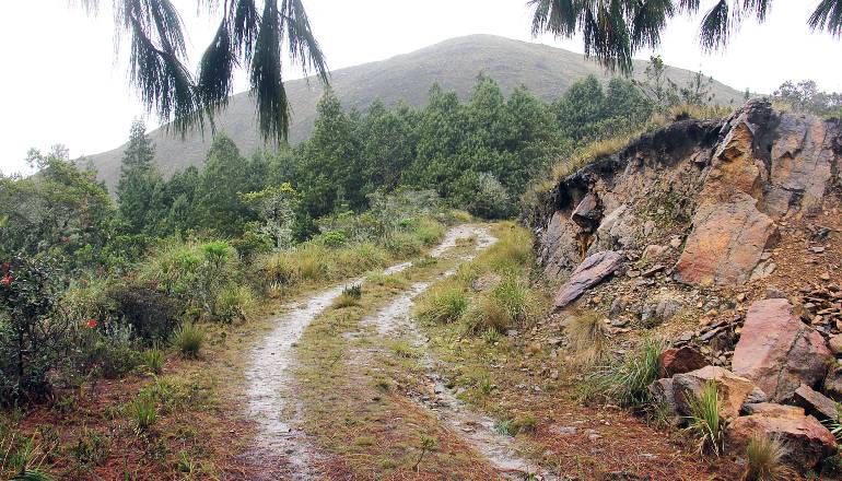 Habilitado nuevo camino para recorrer los cerros Guadalupe - Aguanoso