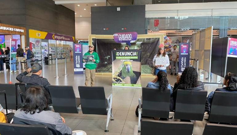 Aeropuerto El Dorado: Distrito sensibilizó a viajeros para evitar el tráfico de especies silvestres