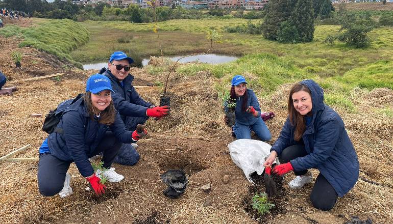 Semana Bogotá Reverdece: se plantaron 200 nuevos árboles en el humedal Tingua Azul