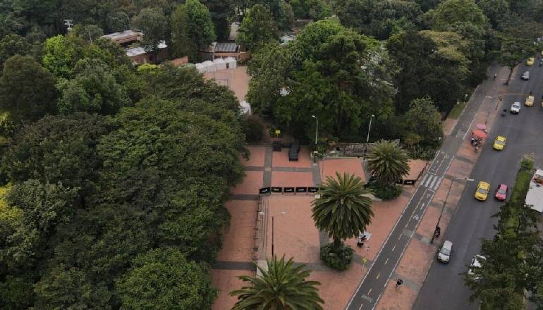 Jardín Botánico lanza guías gratuitas de arbolado urbano