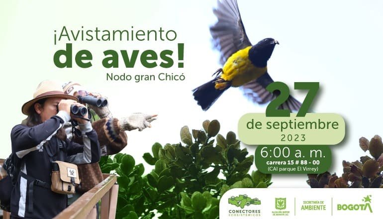 Copetones, monjitas bogotanas o colibríes son algunas de las aves que las personas podrán observar este miércoles 27 de septiembre durante la jornada de avistamiento que se realizará en por el parque El Virrey, en el norte de Bogotá, uno de los conectores ecosistémicos (Cerros Orientales - El Virrey ¿ Neuque).