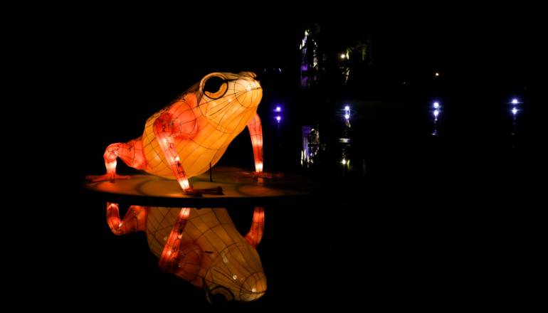 Rana artificial ubicada en el Jardín Botánico que está iluminada por el festival de luces de diciembre
