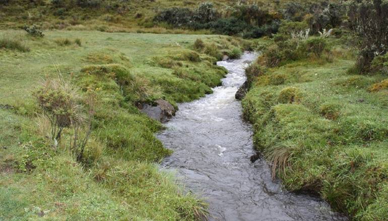 Bogotá y Cundinamarca consolidan pagos por servicios ambientales