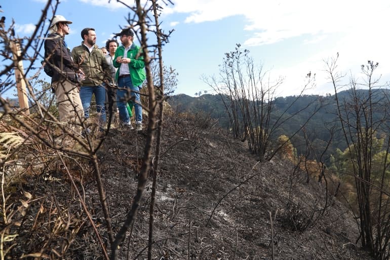 Incendios forestales: acciones de prevención y mitigación de la SDA