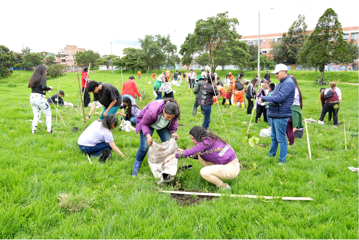 Mujeres sembrando arboles