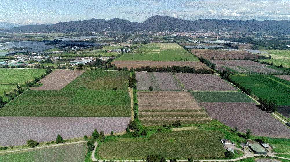 Zona de cuencas estratégicas