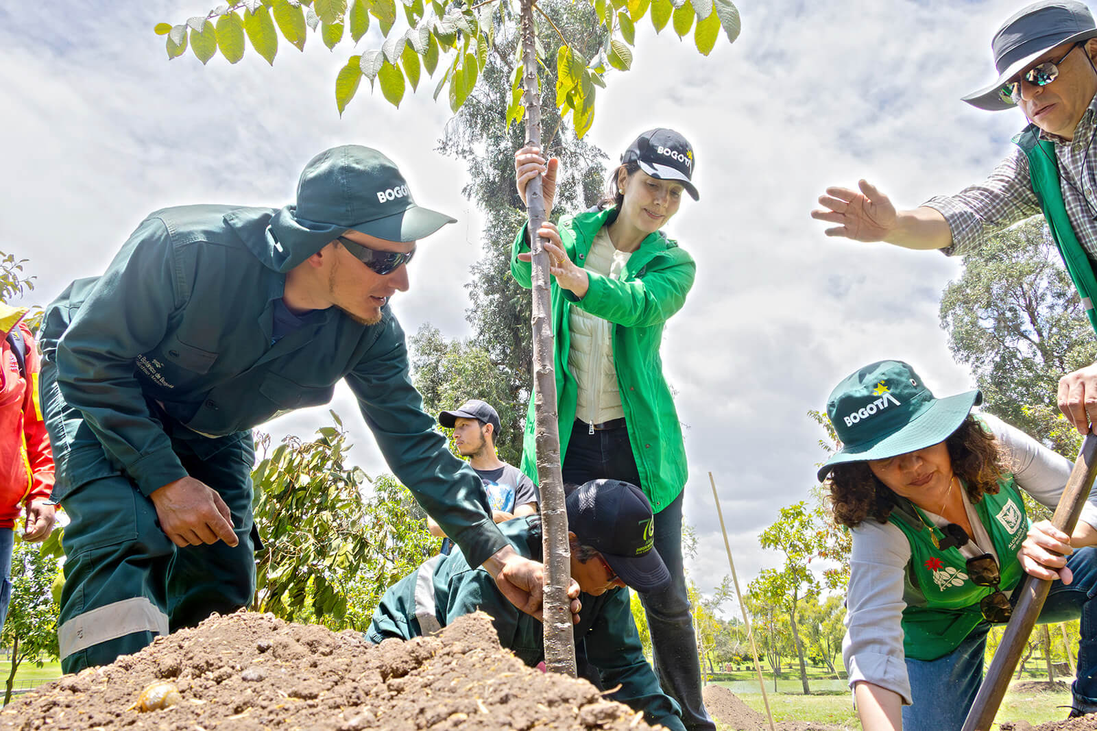 Foto: Plantación Parque Timiza - SDA